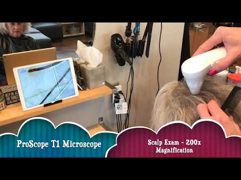 ProScope T1 Kit w/50Nx and 200x lens - WiFi Microscope – ProScope USA